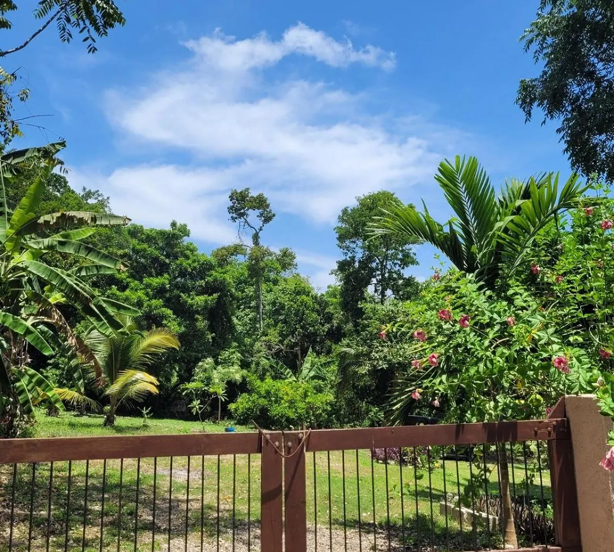 Casa Vien -Serene 2-Bedroom Eco Cottage With Private Beach Access Oracabessa 0*,