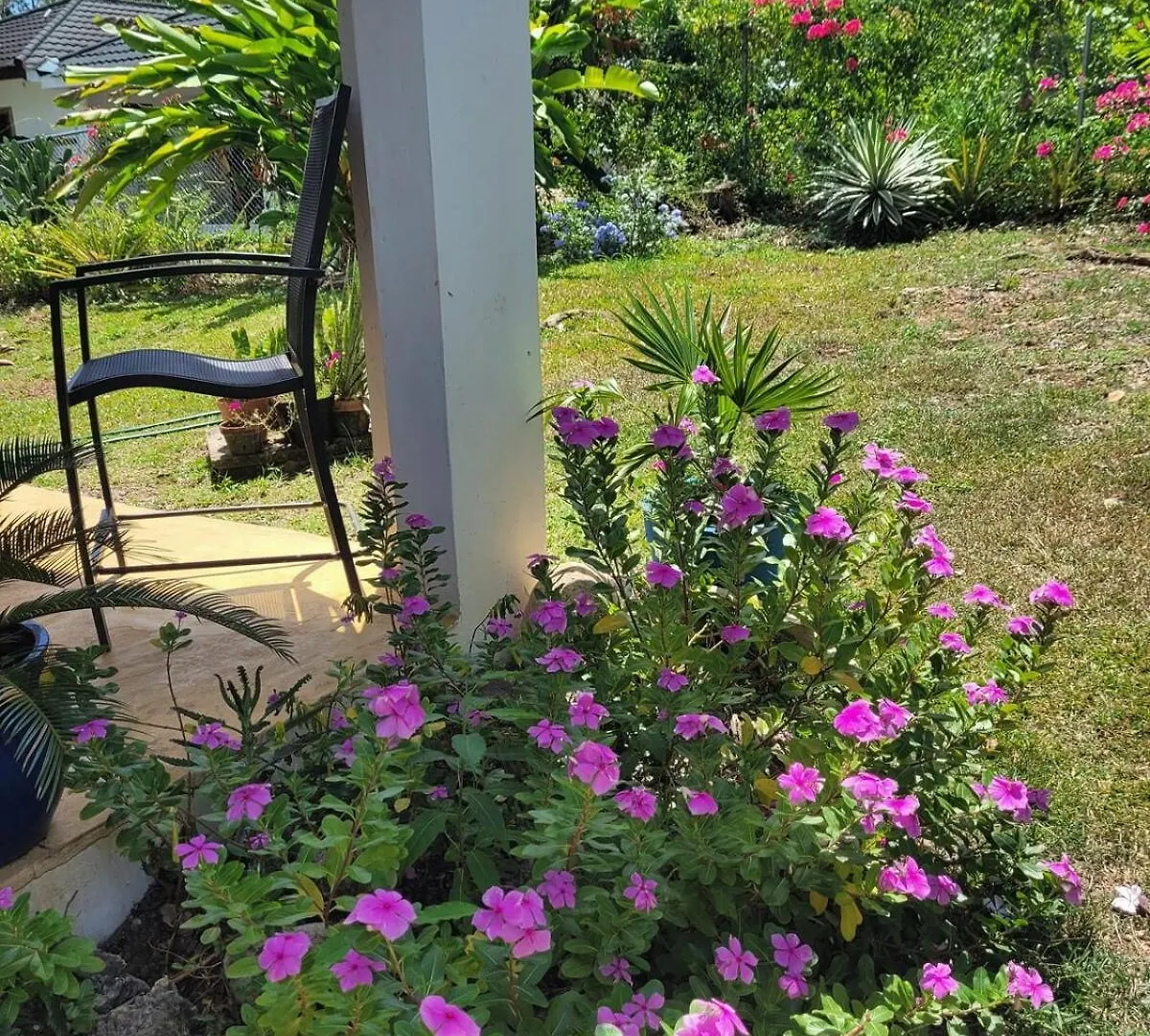 Holiday home Casa Vien -Serene 2-Bedroom Eco Cottage With Private Beach Access Oracabessa Jamaica