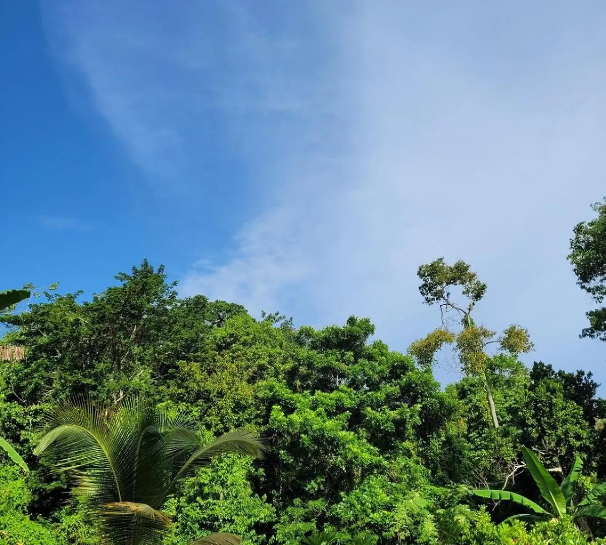 Casa Vien -Serene 2-Bedroom Eco Cottage With Private Beach Access Oracabessa 0*,