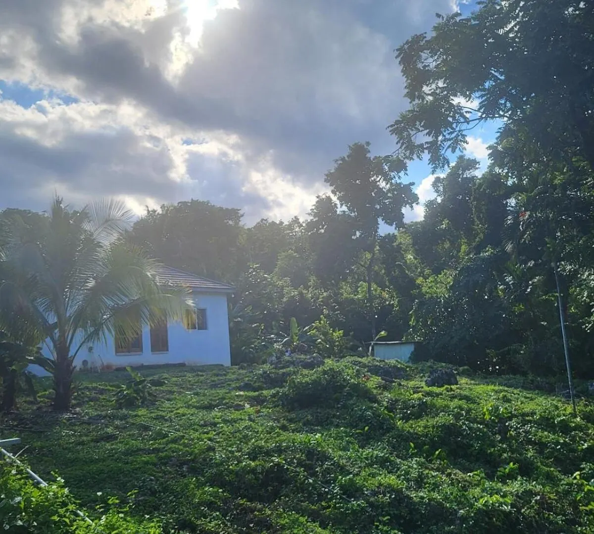 Casa Vien -Serene 2-Bedroom Eco Cottage With Private Beach Access Oracabessa
