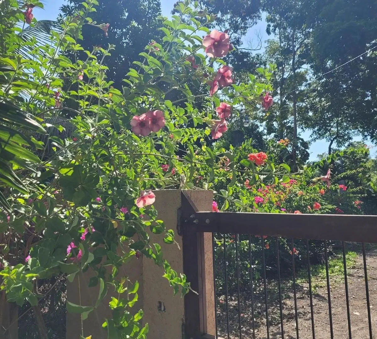 Holiday home Casa Vien -Serene 2-Bedroom Eco Cottage With Private Beach Access Oracabessa